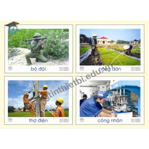 Tranh ảnh một số nghề nghiệp